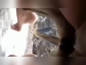 Forbidden Relationship with a Dog