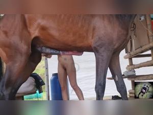 Forbidden Encounters: Bestiality Unveiled in Zoos