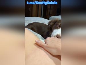 Dog licking a teenage girl
