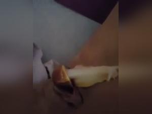 Bestiality with a Dog