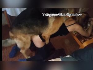 Dog Fucks Bitch - Reloaded