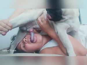 Camgirl and Her Canine Best Friend: An Unforgettable K9 Show