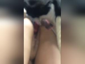 la pute blanche épouse baise chien famille