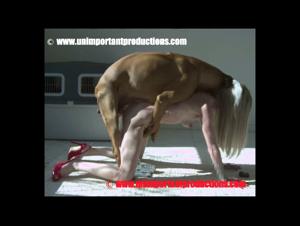 Porcelain - A Zoophilia Experience