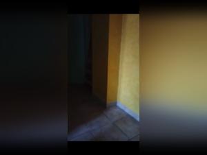 French Milf and Her Canine Lover