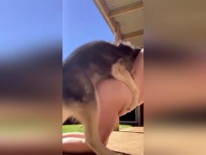 Woman and her dog: a beastly and exciting video