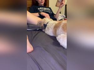 Zoophilia video: a woman and her dog
