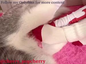 Naughty Foot Play With A Dog In This Bestiality Sex Video