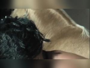 Videos of Bestiality with Horses