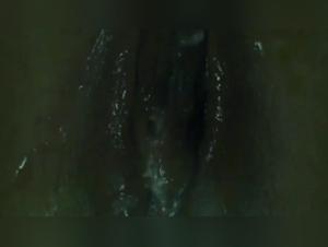 forbidden seduction extreme zoophilia