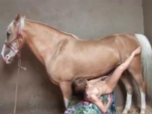 Virile horse in a tight vagina - Intense zoophilia video