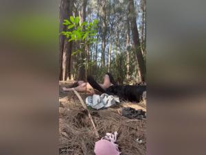 Sex with Cupcake, Doggy Frenzy