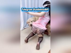 Scontrosa Asiatica con Cane Parte 1