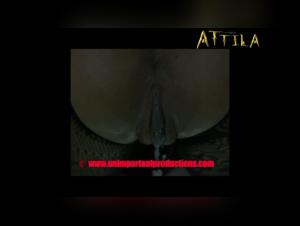 Forbidden Meeting: Woman and Dog