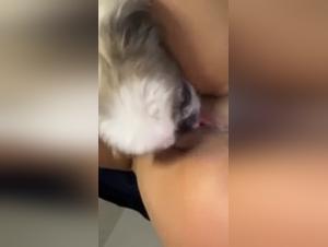 Bestiality Sex Video: Hund und Herrin