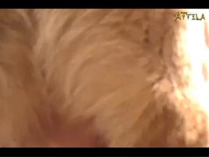 Video of Sex with a Dog