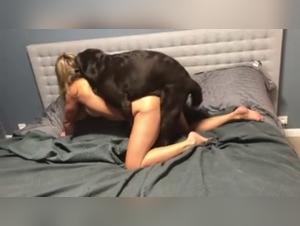 Silesto and his adventure with a dog