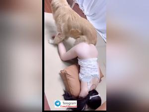 Asian Girl Dog Fuck 1