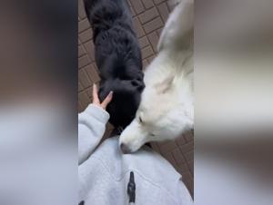 Forbidden Desires Unveiled