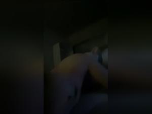 Teenage Girl and Dog: A Forbidden Encounter on Video