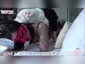 Sex with Dogs Videos - Hardcore Bestiality