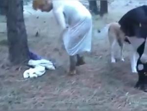 Coated grannies and dogs: a bestiality video
