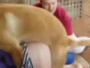 Angela in a Hard Initiation to Sex with a Dog