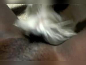 Bestiality sex with a black female dog
