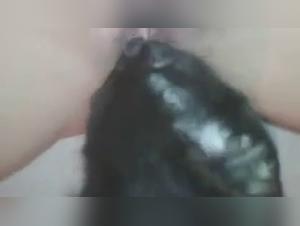 Forbidden Desires: Dog Sex and Girl