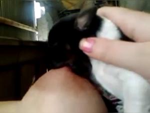 Krankenschwester in einer bestialischen und extremen Erfahrung