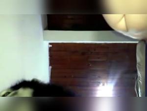 Forbidden Passion: Young Girl and Her Husky