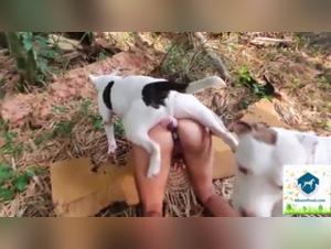 Sex videos with dogs - A unique beastly experience on Alisonprod.com