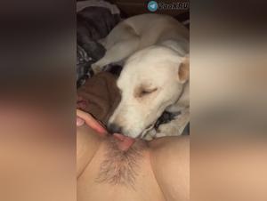Fille se laisse lécher chaudement par son chien