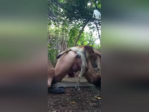 gay dog sex hardcore beast
