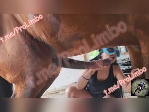 unique horse encounter videos zoophilia beastility dog blow job