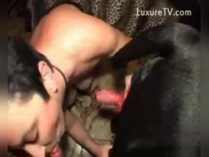 Woman and dog: a beastly encounter