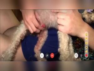 Bestiality Video: A Woman and Her Little Dog