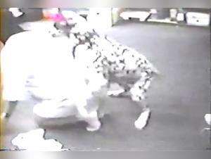 hundewut auf einer wilden frau entfesselt