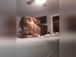 Tine and her German Shepherd: a bestial encounter