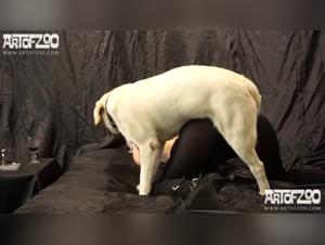 Cumshot Chevaux Compilation XXX