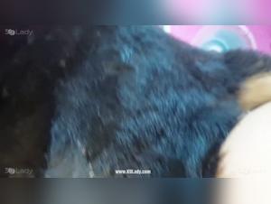 Lovely Kiki and her canine friend: intense moments