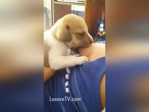 Intense lactation with a puppy