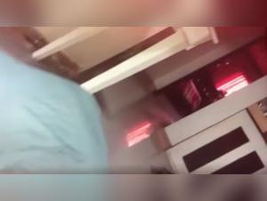 Perro la masturba salvajemente