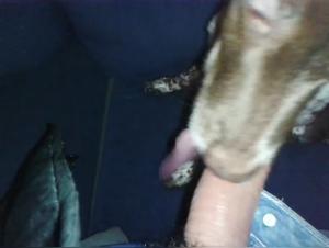 Frau und ihr Hund in schockierendem Bestialitat-Sexvideo