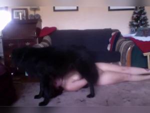 Gabya: Mujer Foca a Perro - Vídeos XXX Tabú