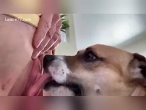 Dog Bangs Hot Sluts Part 1