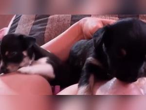 A forbidden meeting: a woman and her dog