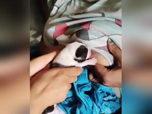 Unforgettable Milking Session with a Devoted Dog