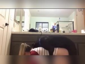délices animales, putes et chien fougueux