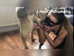 Hund saugt hart
